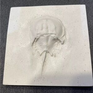 White Ceramic Tile with Embossed Design